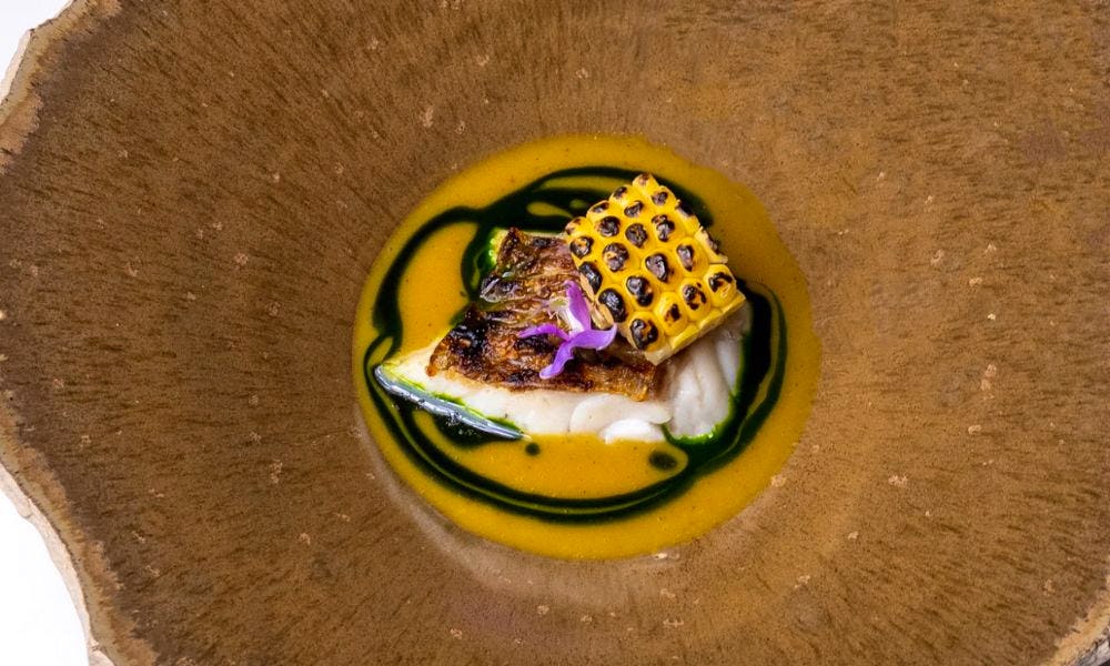 A dark background with a smartly plated dish of food in the centre, with torched sweetcorn on top
