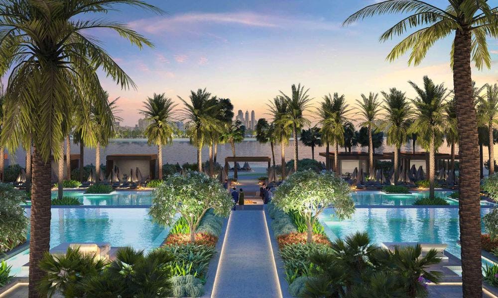 A path between palm trees