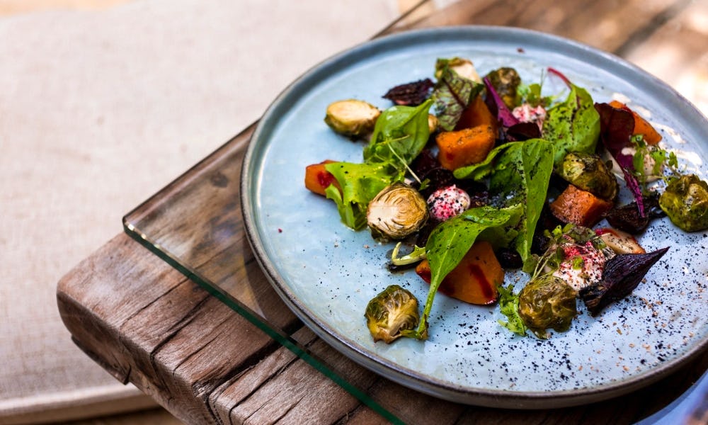 sprout and squash salad seva table