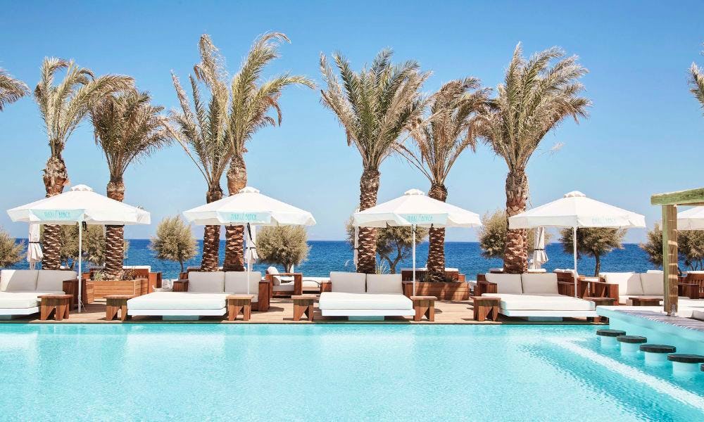 Beach beds and palm trees