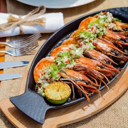 Cafe Nikki - Nikki Beach Resort & Spa Dubai