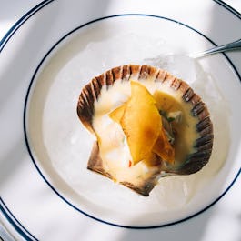 The Maine Oyster Bar & Grill