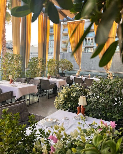 Baku Cafe, Dubai - Restaurant Review, Menu, Opening Times