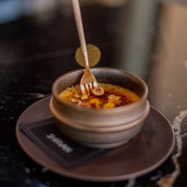 Shirvan Métisse Doha