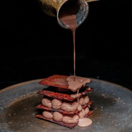 Shirvan Métisse Doha