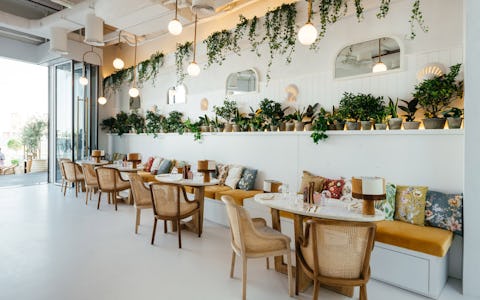 Brunch & Cake The Pointe