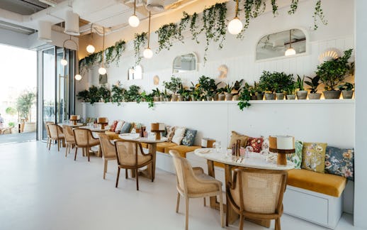 Brunch & Cake The Pointe