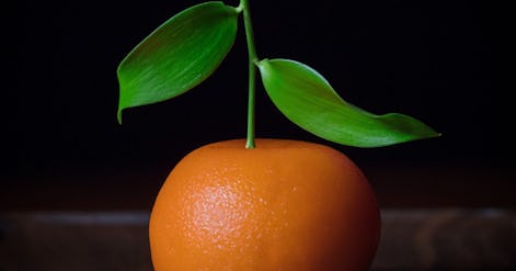 Dinner by Heston Blumenthal Dubai