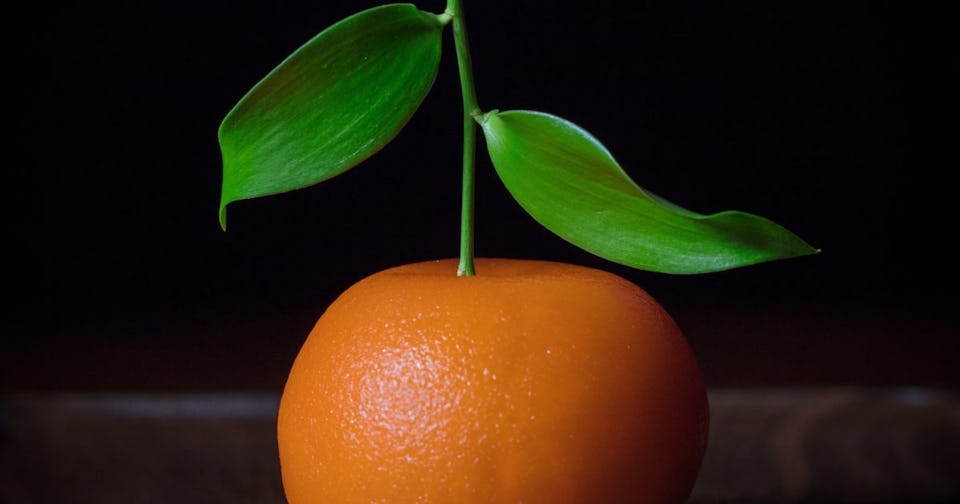 Dinner by Heston Blumenthal Dubai