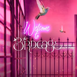 Birdcage
